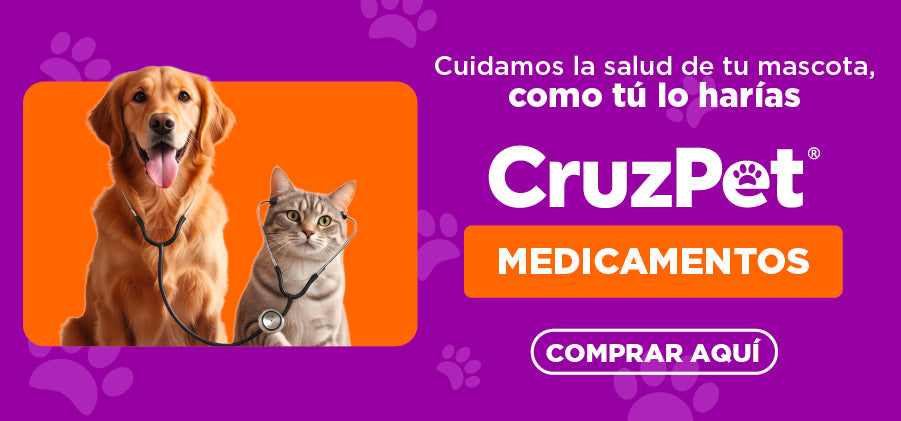 Artículo de prueba 1