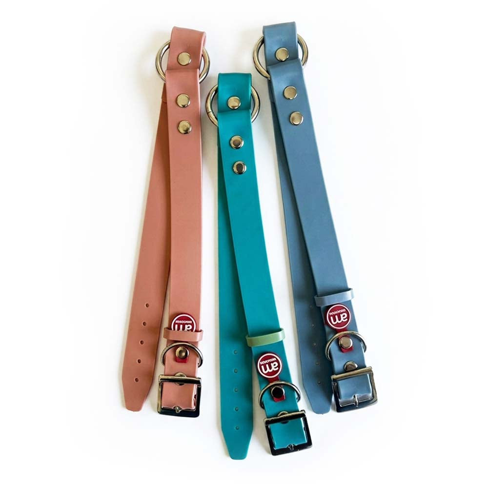 Collar Plastico Xl Am Mascotas Und