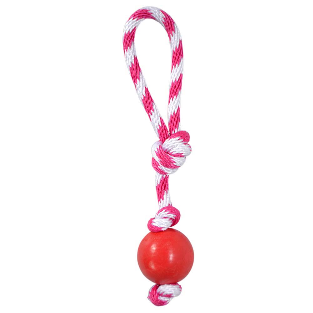 Pelota Maciza Argos Mediana Con Lazo Und