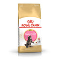 Vet Alimento Seco Royal Canin Para Gato Maine Coon Kitten Bol X 2Kg